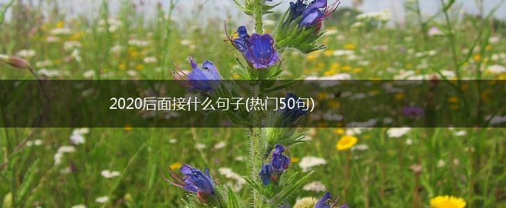 2020后面接什么句子(热门50句),第1张