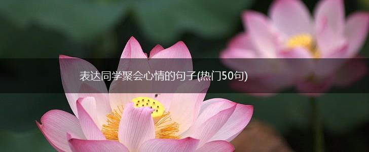 表达同学聚会心情的句子(热门50句),第1张