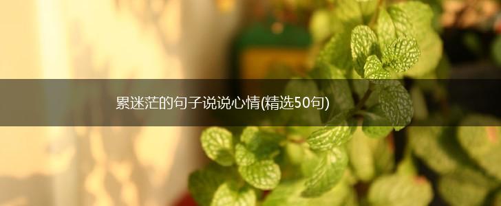 累迷茫的句子说说心情(精选50句),第1张