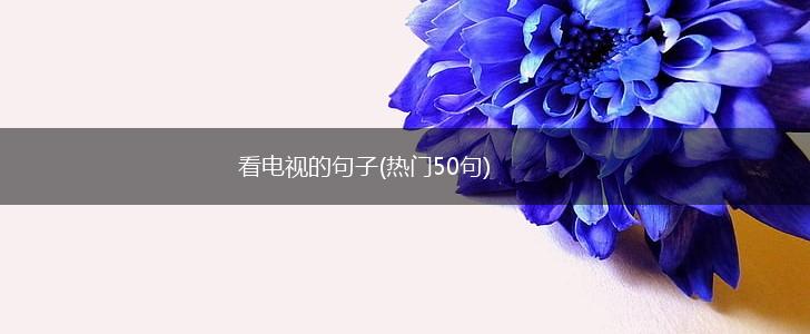 看电视的句子(热门50句),第1张