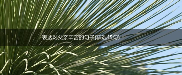 表达对父亲辛苦的句子(精选45句),第1张