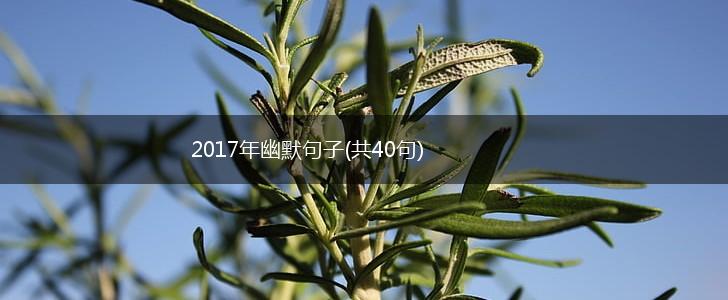 2017年幽默句子(共40句),第1张
