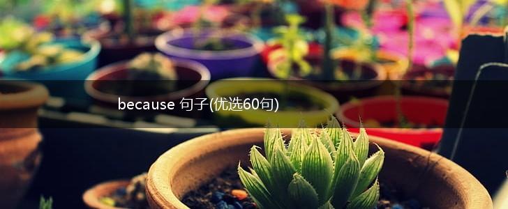 because 句子(优选60句),第1张