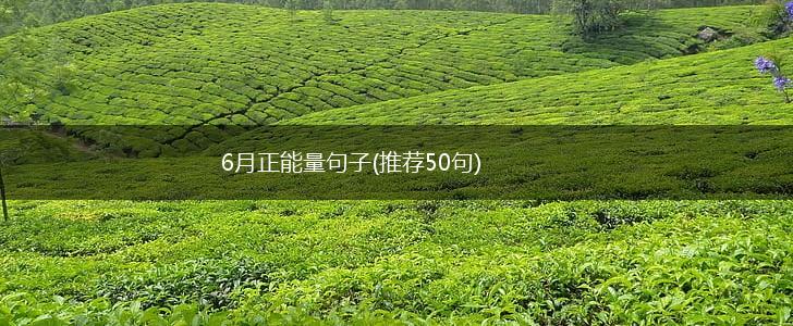 6月正能量句子(推荐50句),第1张