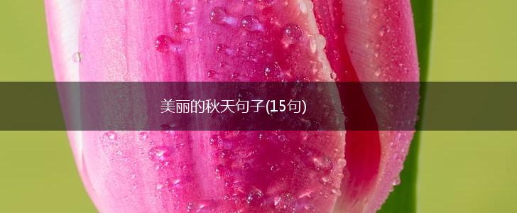 美丽的秋天句子(15句),第1张