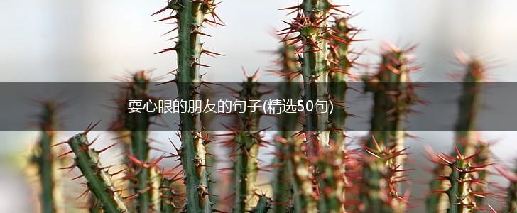 耍心眼的朋友的句子(精选50句),第1张