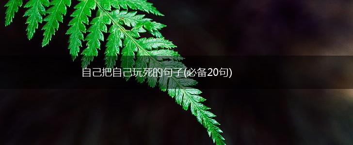 自己把自己玩死的句子(必备20句),第1张