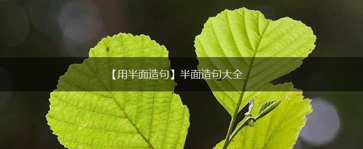 【用半面造句】半面造句大全,第1张