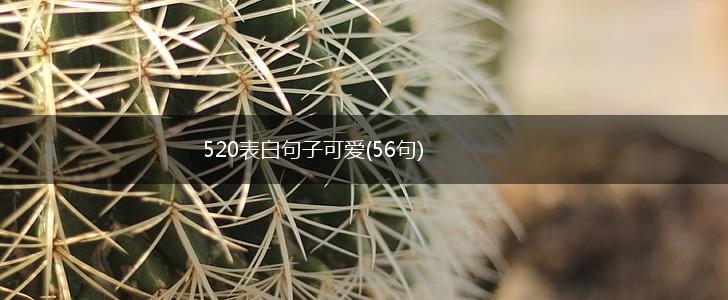 520表白句子可爱(56句),第1张
