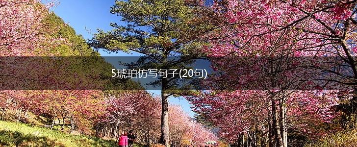5琥珀仿写句子(20句),第1张