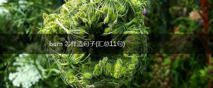 burn 怎样造句子(汇总11句),第1张