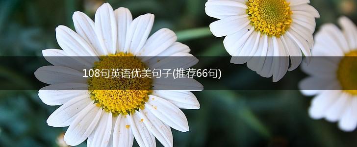 108句英语优美句子(推荐66句),第1张