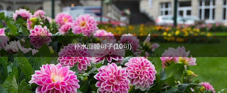 补水面膜句子(10句),第1张
