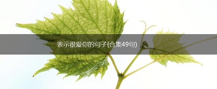 表示很爱你的句子(合集49句),第1张