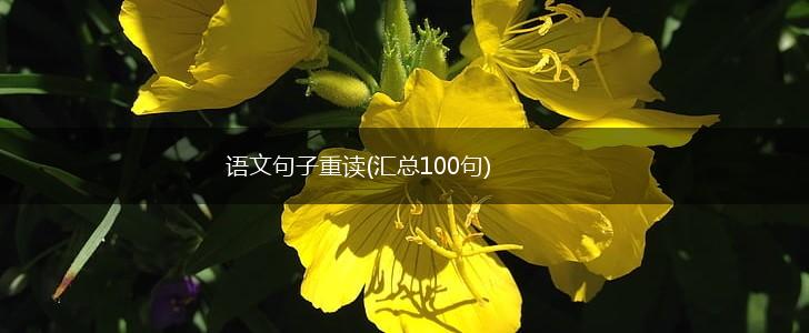 语文句子重读(汇总100句),第1张