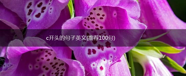 c开头的句子英文(推荐100句),第1张