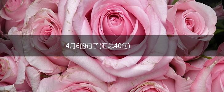4月6的句子(汇总40句),第1张