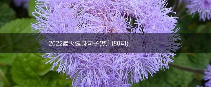 2022最火健身句子(热门80句),第1张