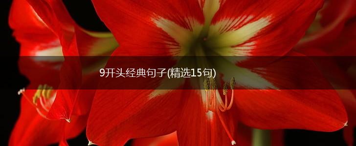 9开头经典句子(精选15句),第1张