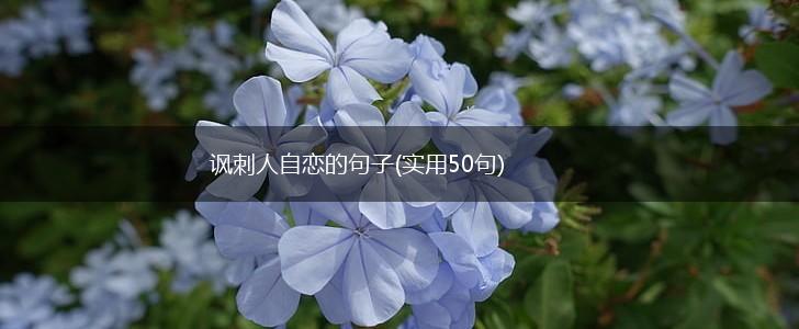 讽刺人自恋的句子(实用50句),第1张