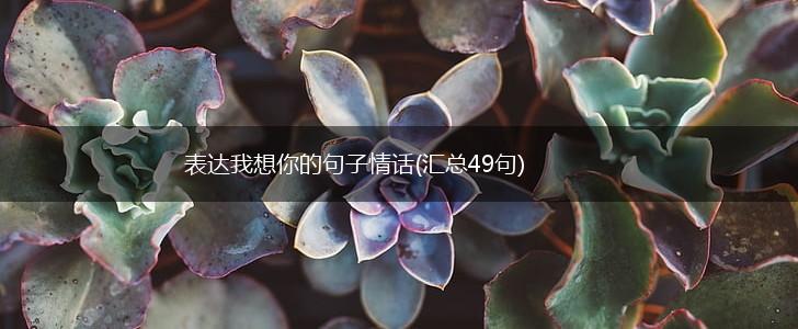 表达我想你的句子情话(汇总49句),第1张