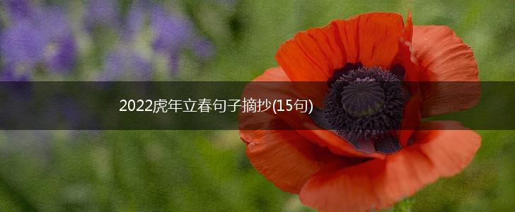 2022虎年立春句子摘抄(15句),第1张