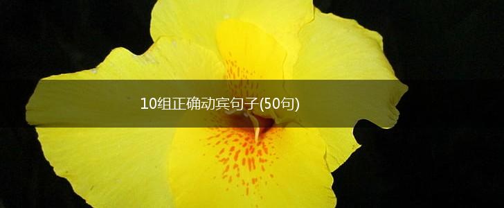 10组正确动宾句子(50句),第1张
