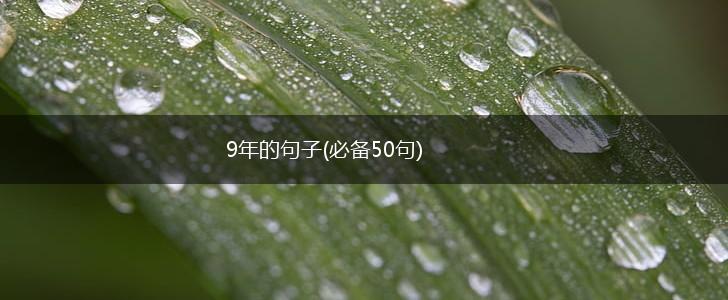 9年的句子(必备50句),第1张