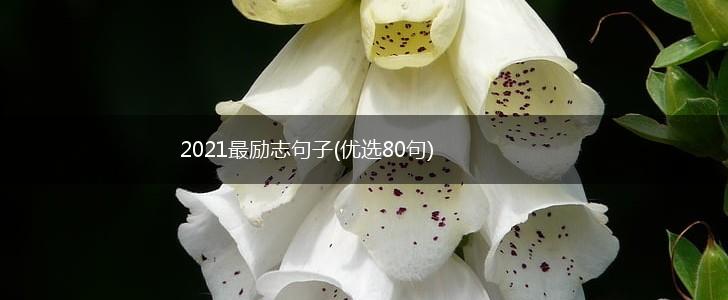 2021最励志句子(优选80句),第1张