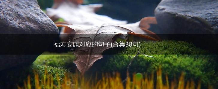 福寿安康对应的句子(合集38句),第1张