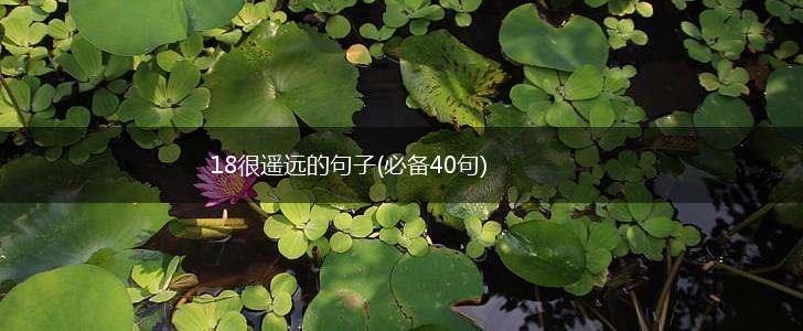 18很遥远的句子(必备40句),第1张