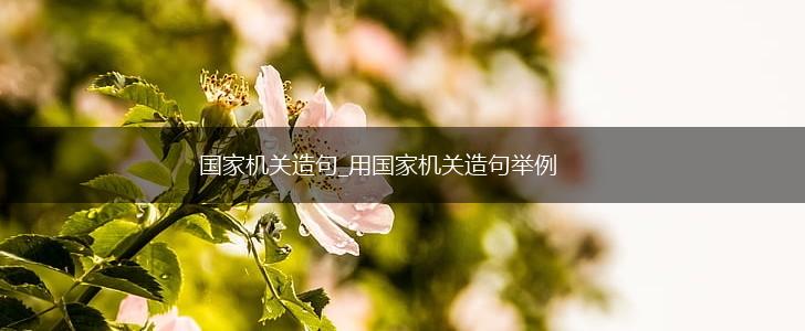 国家机关造句_用国家机关造句举例,第1张