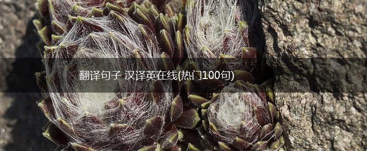 翻译句子 汉译英在线(热门100句),第1张