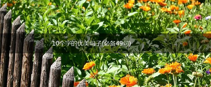 10个字的优美句子(必备49句),第1张