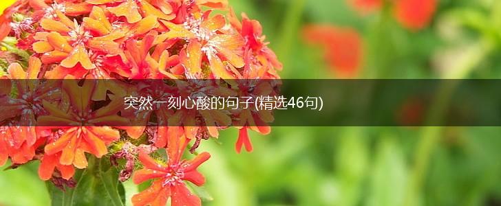 突然一刻心酸的句子(精选46句),第1张