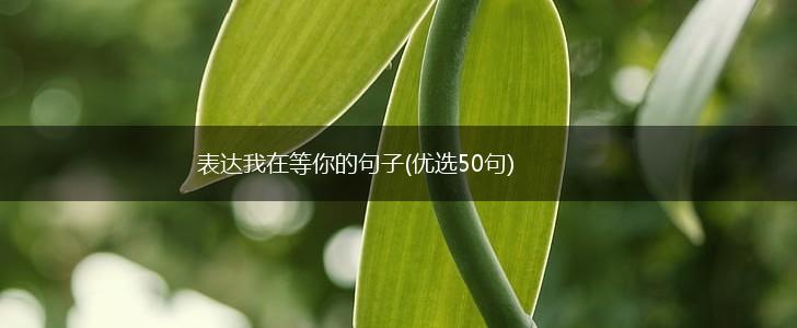 表达我在等你的句子(优选50句),第1张