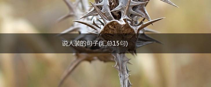 说人装的句子(汇总15句),第1张