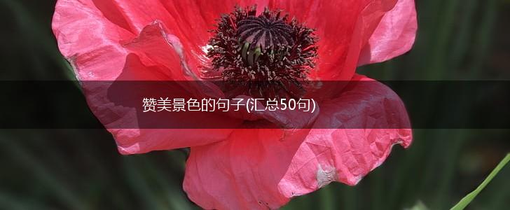 赞美景色的句子(汇总50句),第1张