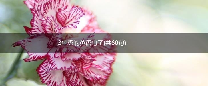 3年级的英语句子(共60句),第1张