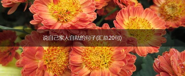 说自己家人自私的句子(汇总20句),第1张