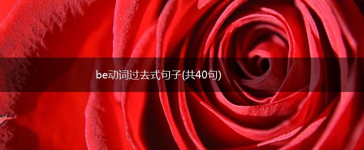 be动词过去式句子(共40句),第1张