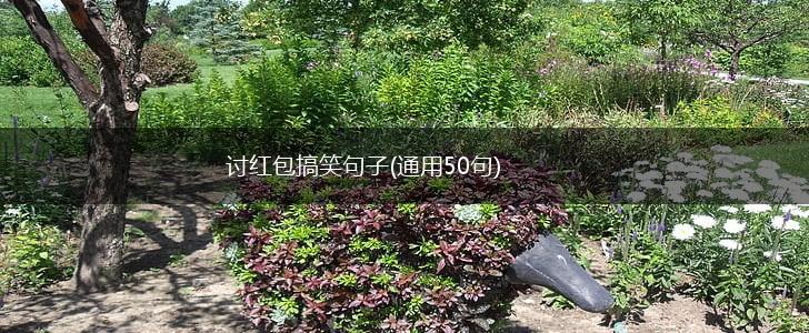 讨红包搞笑句子(通用50句),第1张