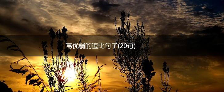 葛优躺的逗比句子(20句),第1张
