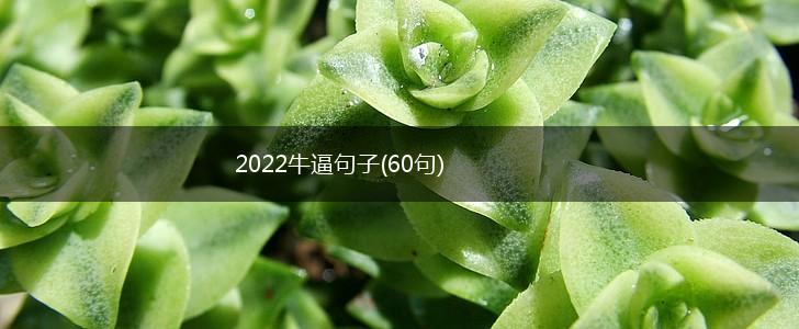 2022牛逼句子(60句),第1张