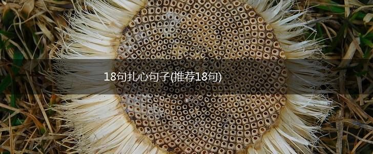 18句扎心句子(推荐18句),第1张