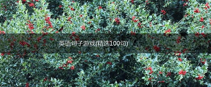 英语句子游戏(精选100句),第1张