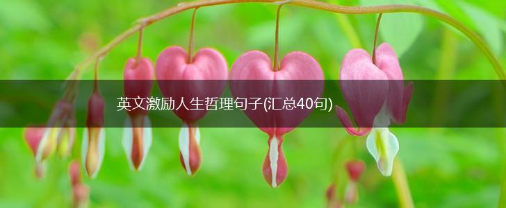 英文激励人生哲理句子(汇总40句),第1张