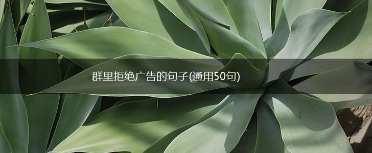 群里拒绝广告的句子(通用50句),第1张