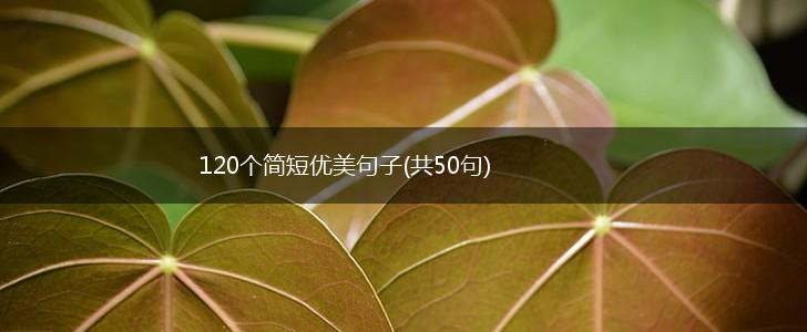 120个简短优美句子(共50句),第1张