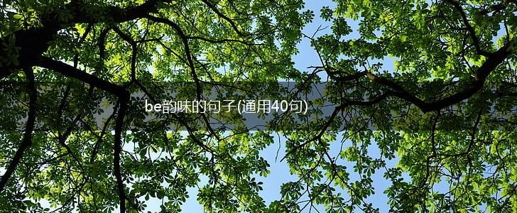 be韵味的句子(通用40句),第1张